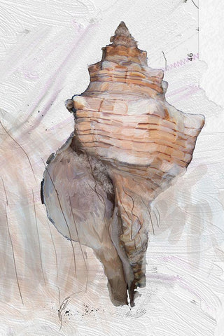 Geo Shell 2 Black Modern Wood Framed Art Print by Butcher, Sarah