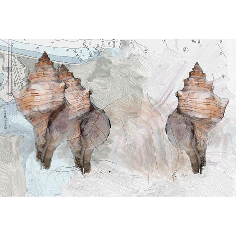 Maps And Shells White Modern Wood Framed Art Print by Butcher, Sarah