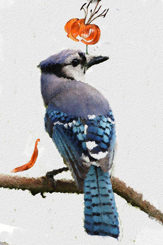 Flowering Blue Jay White Modern Wood Framed Art Print with Double Matting by Butcher, Sarah