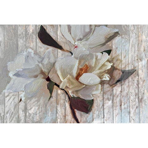 Suddenly Magnolia 1 Black Modern Wood Framed Art Print by Butcher, Sarah