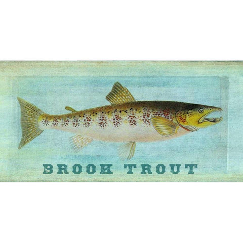 Brook Trout Black Modern Wood Framed Art Print with Double Matting by Carlson, Tina