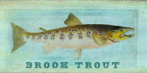 Brook Trout Black Ornate Wood Framed Art Print with Double Matting by Carlson, Tina