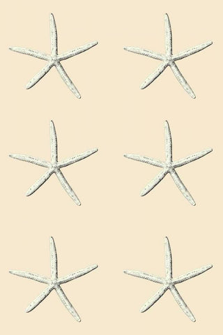 SeaStar 2 Multi Cream White Modern Wood Framed Art Print with Double Matting by Carlson, Tina