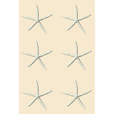 SeaStar 2 Multi Cream White Modern Wood Framed Art Print by Carlson, Tina