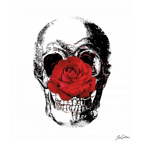 Flower Skull White Modern Wood Framed Art Print by Carlson, Tina