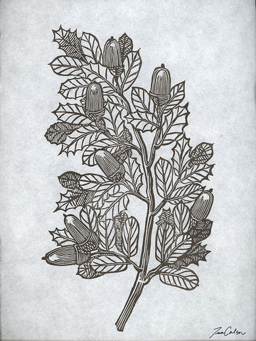 Oak Tree 2 Black Ornate Wood Framed Art Print with Double Matting by Carlson, Tina