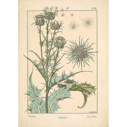 Thistle Chardon White Modern Wood Framed Art Print by Carlson, Tina