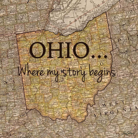 Story Ohio White Modern Wood Framed Art Print by Carlson, Tina