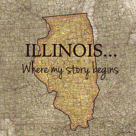 Story Illinois White Modern Wood Framed Art Print by Carlson, Tina