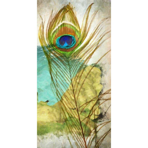 PEACOCK FEATHER 1 Black Modern Wood Framed Art Print with Double Matting by Greene, Taylor