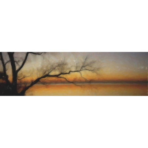 Tranquil Tree Silhouette Black Modern Wood Framed Art Print by Greene, Taylor