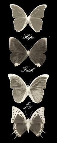 Hope Faith Joy  Butterflies 1 Black Ornate Wood Framed Art Print with Double Matting by Greene, Taylor