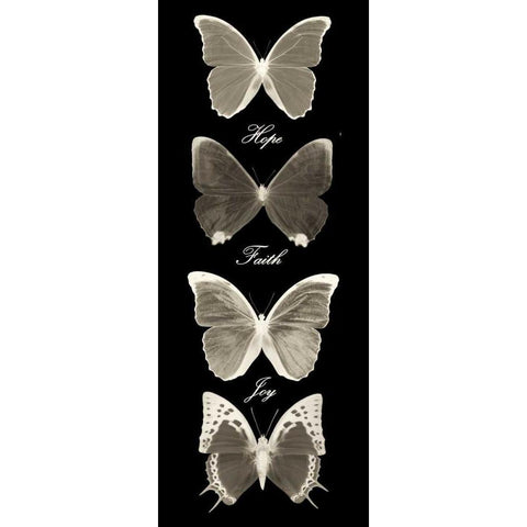 Hope Faith Joy  Butterflies 1 White Modern Wood Framed Art Print by Greene, Taylor