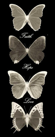 Hope Faith Love Butterflies 2 Black Ornate Wood Framed Art Print with Double Matting by Greene, Taylor