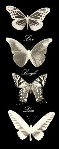 Live Laugh Love Butterflies White Modern Wood Framed Art Print with Double Matting by Greene, Taylor