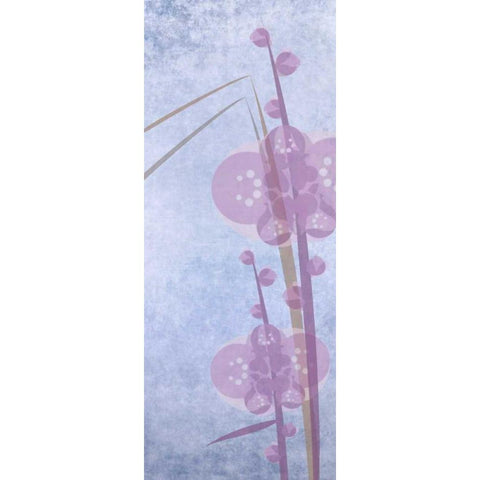 Orchids 1 White Modern Wood Framed Art Print by Greene, Taylor