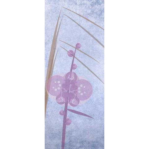 Orchids 2 White Modern Wood Framed Art Print by Greene, Taylor