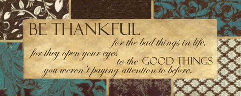 Be Thankful 1 Black Ornate Wood Framed Art Print with Double Matting by Greene, Taylor