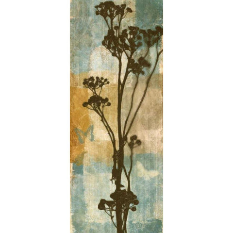 BOTANICAL BEAUTY I Black Modern Wood Framed Art Print with Double Matting by Greene, Taylor