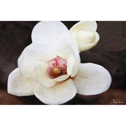 Magnolia In Bloom White Modern Wood Framed Art Print by Greene, Taylor