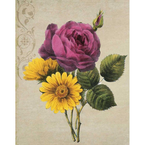 Pink And Yellow I Black Modern Wood Framed Art Print with Double Matting by Greene, Taylor