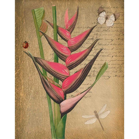 BROMELIAD ON GOLD White Modern Wood Framed Art Print by Greene, Taylor