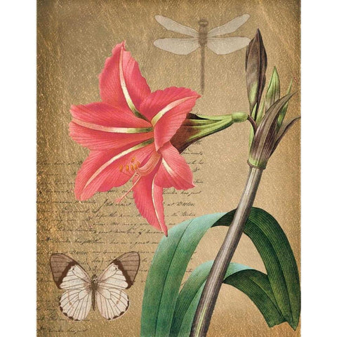 Iris On Gold Black Modern Wood Framed Art Print with Double Matting by Greene, Taylor