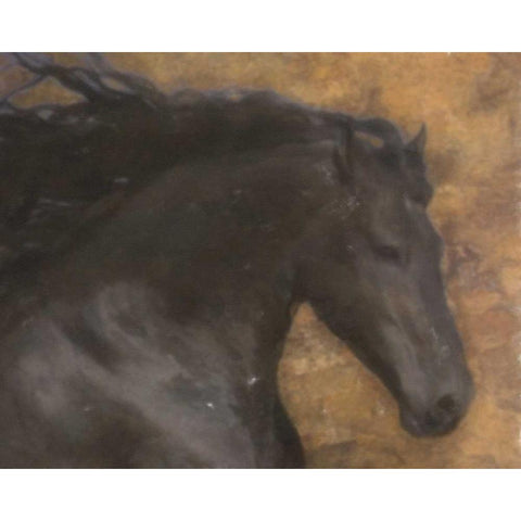 BLACK MARE Black Modern Wood Framed Art Print with Double Matting by Greene, Taylor