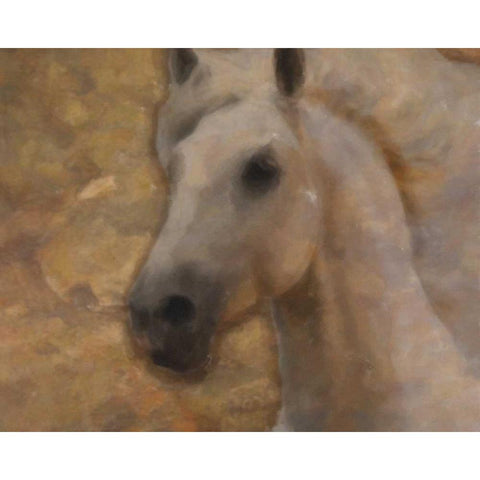 GOLDEN MARE White Modern Wood Framed Art Print by Greene, Taylor