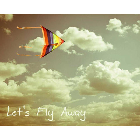 LETS FLY AWAY Black Modern Wood Framed Art Print with Double Matting by Greene, Taylor