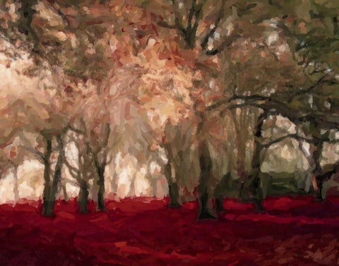 Crimson Forest Floor A2 White Modern Wood Framed Art Print with Double Matting by Greene, Taylor