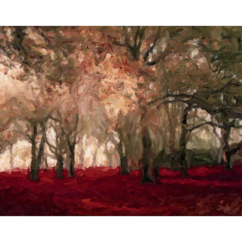 Crimson Forest Floor A2 White Modern Wood Framed Art Print by Greene, Taylor