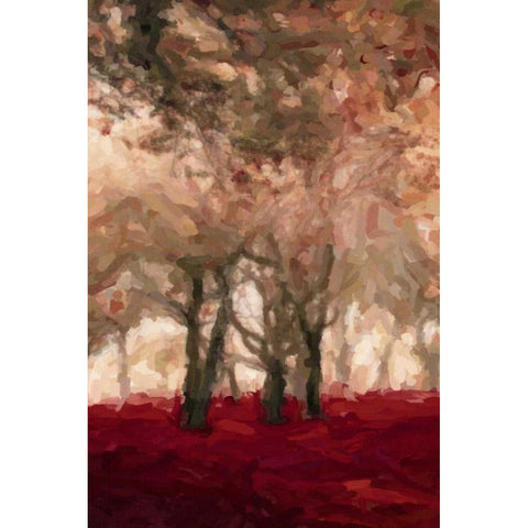 Crimson Forest Floor A3 Black Modern Wood Framed Art Print with Double Matting by Greene, Taylor