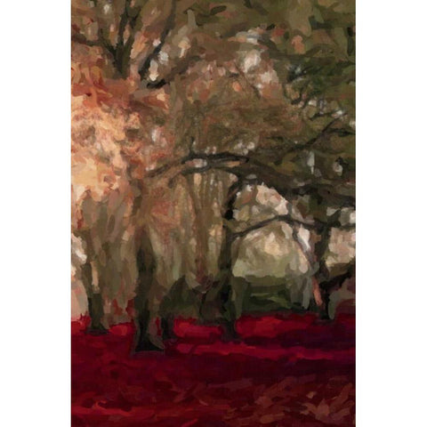 Crimson Forest Floor A4 Black Modern Wood Framed Art Print with Double Matting by Greene, Taylor