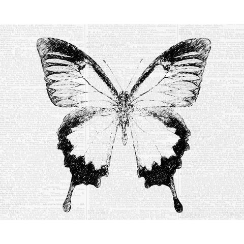 Butterfly 1 White Modern Wood Framed Art Print by Greene, Taylor