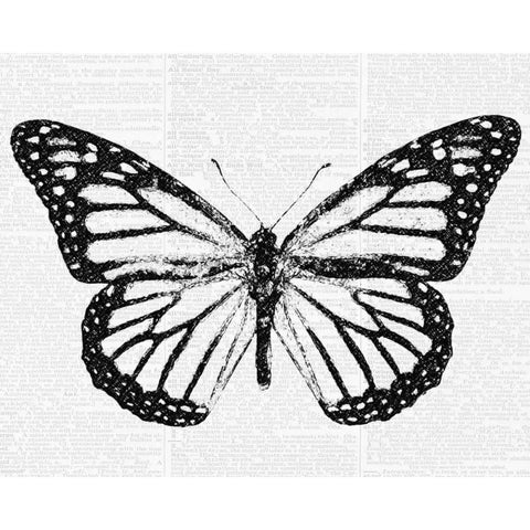 Butterfly 2 Black Modern Wood Framed Art Print with Double Matting by Greene, Taylor