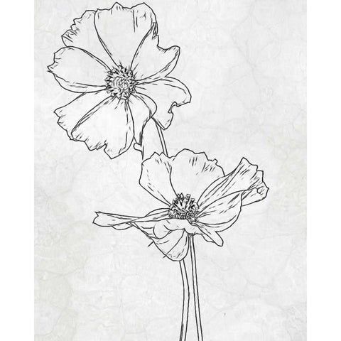 FLOWER 1 Black Modern Wood Framed Art Print with Double Matting by Greene, Taylor