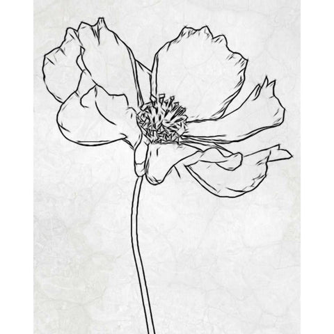 FLOWER 2 White Modern Wood Framed Art Print by Greene, Taylor