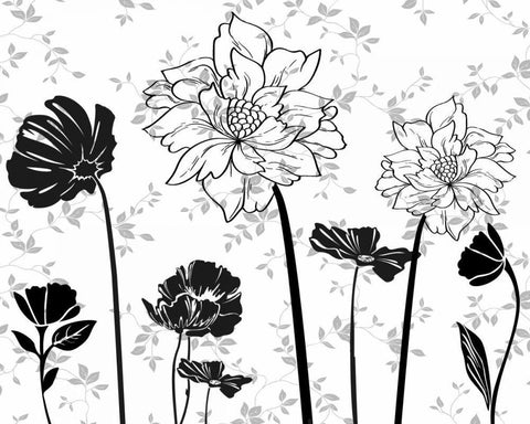 BLACK AND WHITE FLOWERS II White Modern Wood Framed Art Print with Double Matting by Greene, Taylor