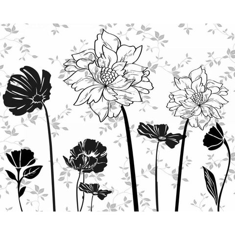 BLACK AND WHITE FLOWERS II Black Modern Wood Framed Art Print with Double Matting by Greene, Taylor