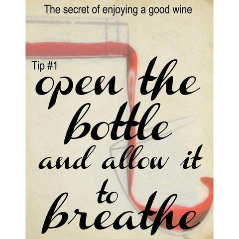 WINE SECRET 1 White Modern Wood Framed Art Print by Greene, Taylor