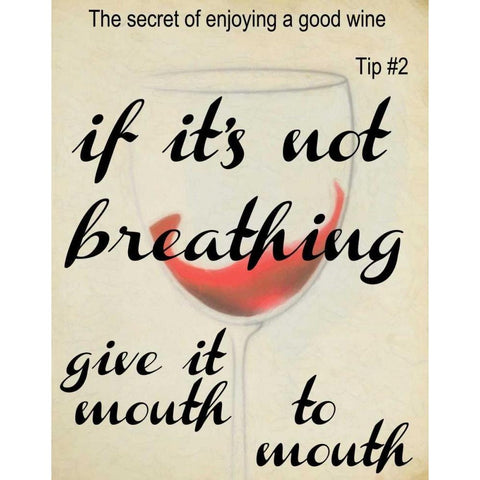 WINE SECRET 2 White Modern Wood Framed Art Print by Greene, Taylor