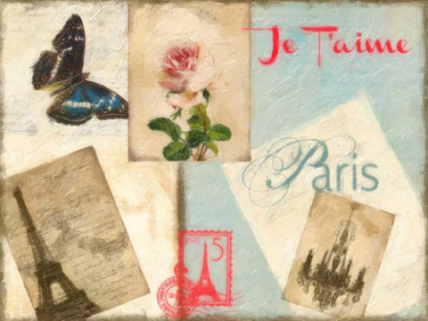 JE TAIME PARIS 2 White Modern Wood Framed Art Print with Double Matting by Greene, Taylor