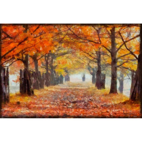 AMBER TRAIL Black Modern Wood Framed Art Print with Double Matting by Greene, Taylor