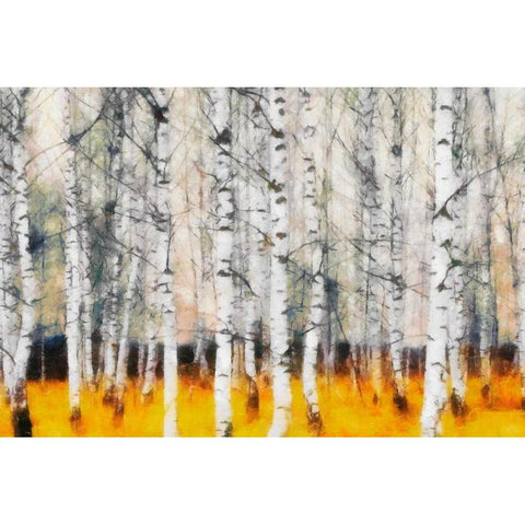 Saffron Timber  White Modern Wood Framed Art Print by Greene, Taylor