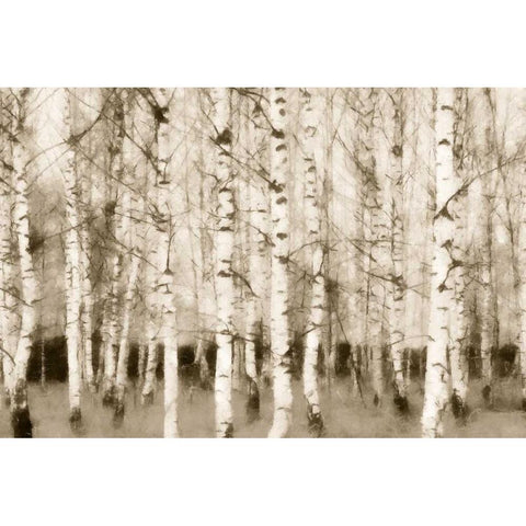 Sepia Timber Black Modern Wood Framed Art Print with Double Matting by Greene, Taylor