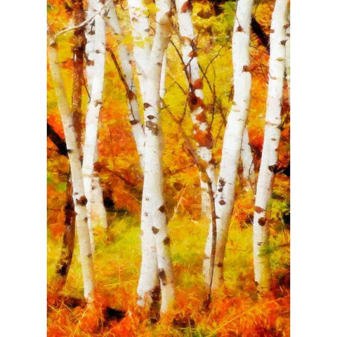 Glowing Forrest White Modern Wood Framed Art Print by Greene, Taylor