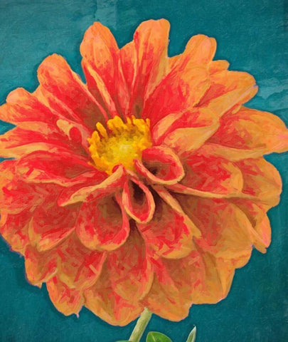 POPPY IN BLOOM White Modern Wood Framed Art Print with Double Matting by Greene, Taylor