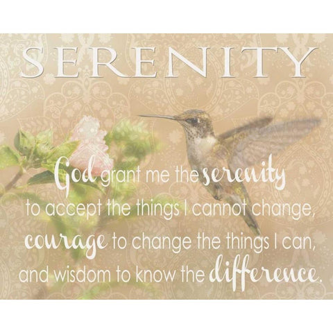 SERENITY HUMMINGBIRD White Modern Wood Framed Art Print by Greene, Taylor