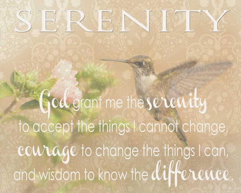 SERENITY HUMMINGBIRD White Modern Wood Framed Art Print with Double Matting by Greene, Taylor